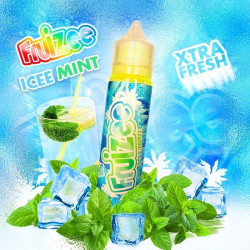 FRUIZEE ICE MINT 50ml/0mg SANS NICOTINE ELIQUID FRANCE