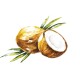 HUILE DE NOIX DE COCO MCT HARMONY