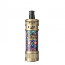 e-vaporetto.com
