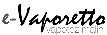 e-vaporetto.com